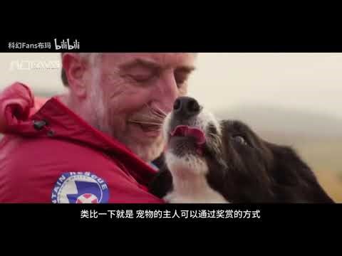 The Tragic Story of Nim Chimpsky: A Real-Life Planet of the Apes Experiment