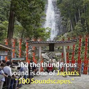 Tucked away in a forest in Wakayama, have you heard the thunderous roar of Nachi Falls, Japan's tallest waterfall? Discover more at https://www.japan.travel/en/spot/972/. | Visit Japan International