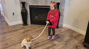 Watch Walking Dog Toy on Amazon Live