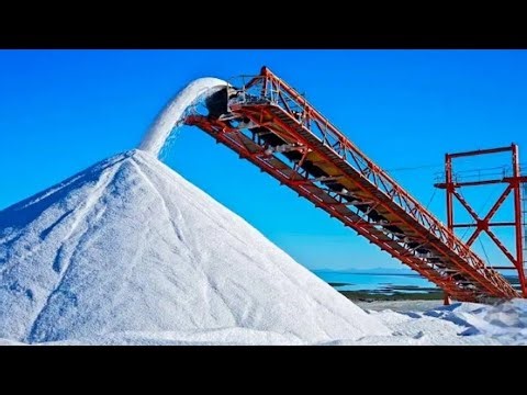 How Salt Is Mass Produced In The Factory (Full Process)
