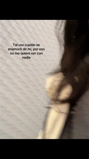 Cupido y el amor: Reflexiones sobre la soledad