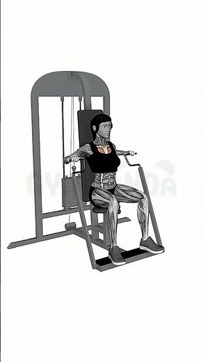 Seated Chest Fly Machine - Perfect Form Guide #shorts
