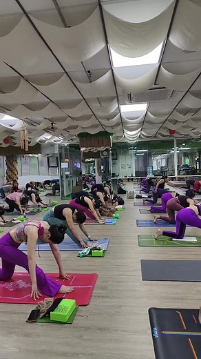 SOLAR FLOW 7:30 19/12/2025 | Eco Garden