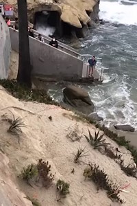 8.7M views · 10K reactions | Baby seal rescued and reunited with mother! ViralHog | MetDaan Animals | Facebook