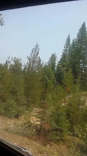 Libby Creek Recreational Gold Panning Area Montana