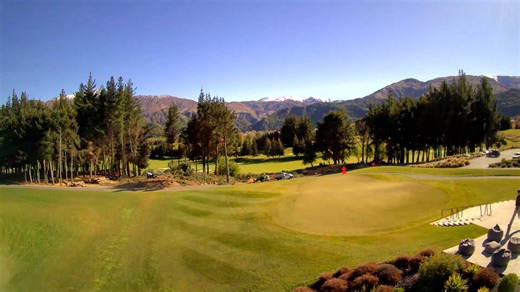 Tree Cutting Time-Lapse
