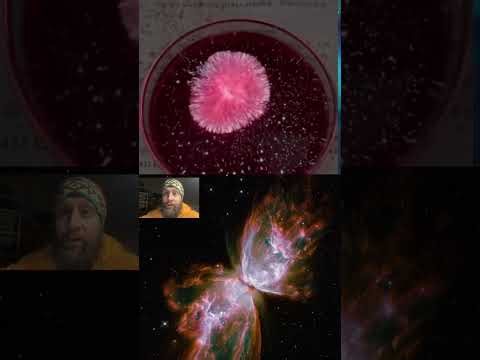 Celestial Fumigation: Ionospheric Currents, Photonic Plasma, Etheric Fields, and the Cycle of Fire