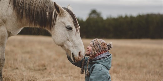 10 Types of Horses That Are Great for First-Time Owners and Old Hands