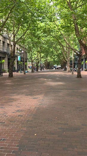 #washington #pnw #seattle #views