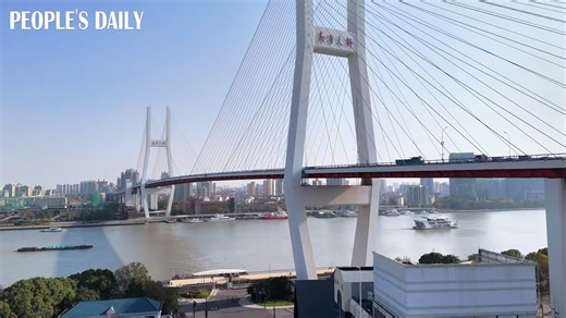 Vehicles pass through the 8,346-meter-long Nanpu Bridge that spans across the Huangpu River, crafting splendid sights under the sunlight in bustling Shanghai. #BeautifulChina | People's Daily, China