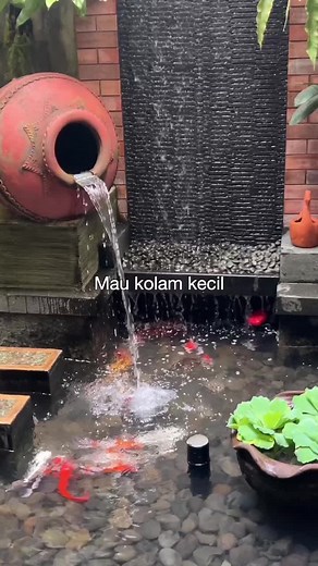Filter Kolam Ikan Ecosand: Cara Memasang dan Manfaatnya