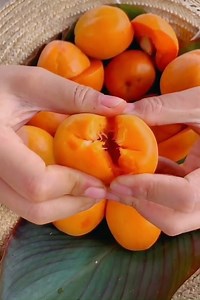 14K views · 267 reactions | Top the most exotic and expensive fruits in the world | Euphoria | Facebook