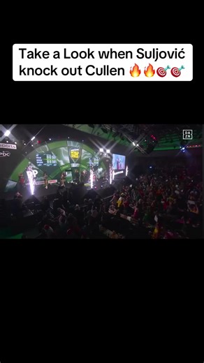 #darts #dartsworldchampionship #allypally #fyp #viral