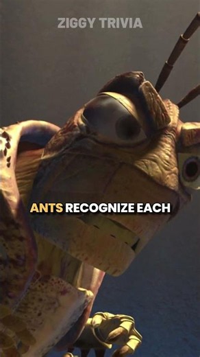 The realistic insect detail hidden in A BUG’S LIFE…