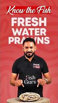 This Prawn Cooks in 2 Minutes! | Freshwater Prawns Facts You Didn’t Know| PrimeCut| Fishguru