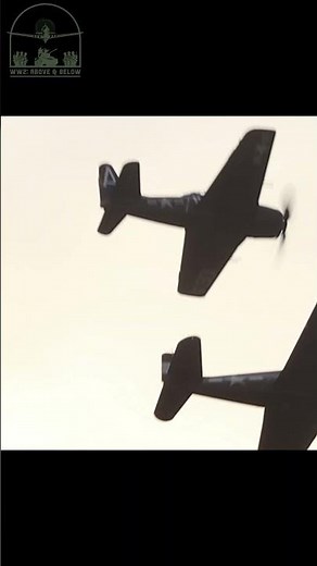 F8F Bearcat and F6F Hellcat fly by in sunset! #ww2 #wwii #history #aviation #airshow