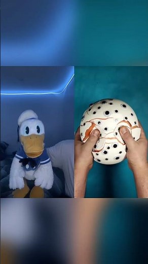 Donald Ducc Is Good At Guessing Colors