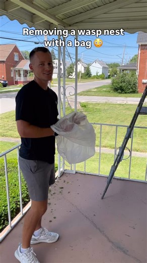 547K views · 69K reactions | They can STING more than once! Do not...