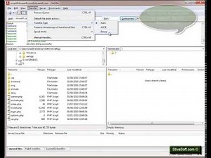 How Set FTP Filezilla for Upload Files in MODE BINARY