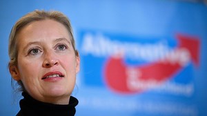 AfD: Mitglieder, Fakten, Erfolge – Alternative für Deutschland im Steckbrief