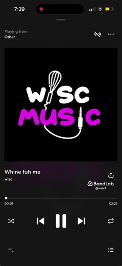 wisc.music (@wisc.music)’s videos with original sound - wisc.music