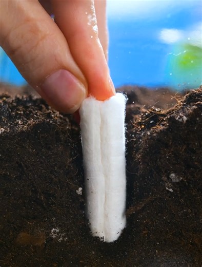 46K views · 45 reactions | How multi functional tampons can be?! | 5-Minute Crafts GIRLY | Facebook