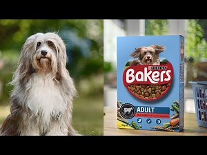 Purina | Bakers Dry: delicious and nutritious meals for your dog!