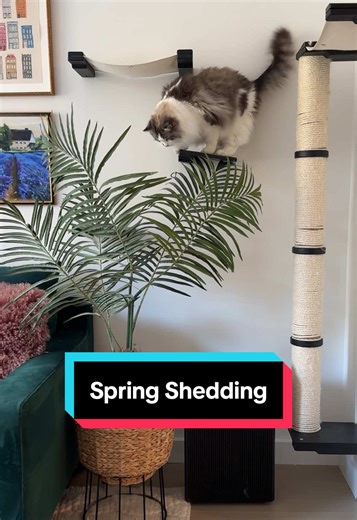 Spring Shedding Solutions with WINIX Air Purifier