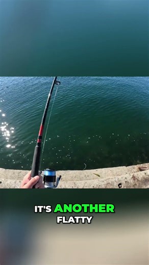 Insane City Fishing! Catching Flathead in Seconds! #fishing #tasmania #australia