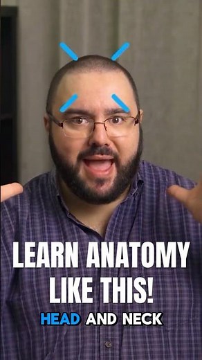 There’s NO right way to study anatomy (Do this instead)