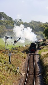 Battle of Britain Class 34072 “257 Squadron” leads LSWR T3 563 into Harmans Cross during the recent Swanage Autumn Gala. #swanagerailway#steamrailway#heritagerailway#preservation#ukrailscene#steam#trains#reels#video#transport#battleofbritain#34072#257squadron#LSWR#T3#563#swanage#harmanscross#dorset#visitdorsetofficial#railwayvideos | Southern Steam Lad Photography