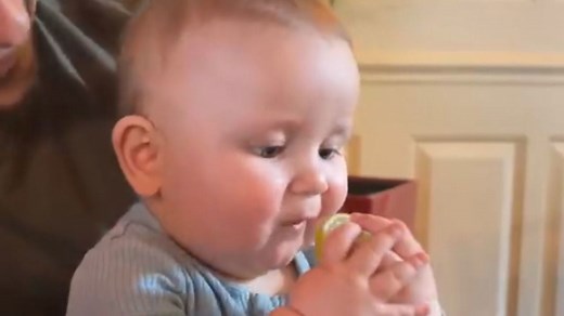 Baby boy tries a lemon for the first time and keeps licking it