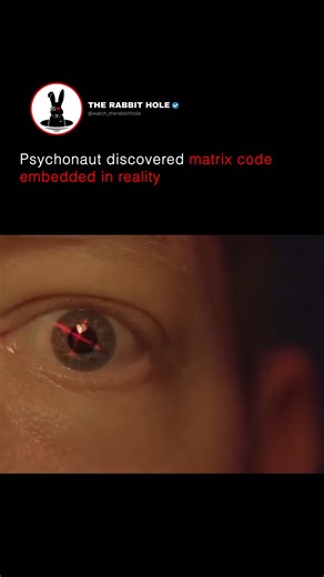 The Rabbit Hole on Instagram: "Psychonaut discovered matrix code embedded in reality"