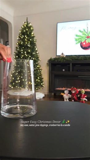 Here's a super simple Christmas Decor idea. any vase, water, greenery (real or faux, your choice), cranberries & a candle. Enjoy! 🎄✨️ #christmasdecorideas #christmasdiy #holidayseason #cozychristmas #christmasnostalgia | Stephanie Gibson