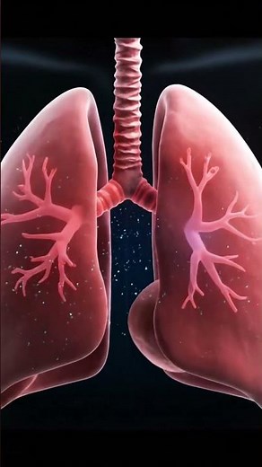 Shortness of Breath Explained: How Lungs, Nose, and Airflow Work"
