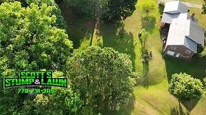 25 shares | Professional Tree Removal Services – Safe, Fast &...