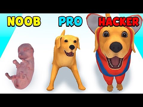 NOOB vs PRO vs HACKER - Dog Life Simulator