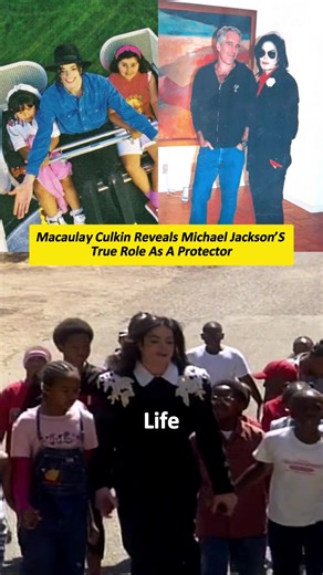 Did Michael Jackson Use Neverland as a Safe Haven?