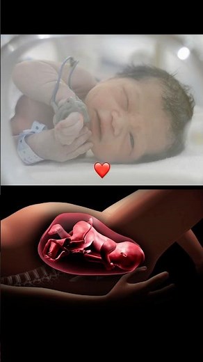 Childbirth Miracle: Cutaway View of Baby’s Journey! 👶✨ #pregnancytest #pregnancy #pregnant
