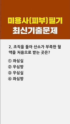 미용사(피부) 필기 최신 기출문제 🎯 2번 #1분체크