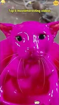 #illustration #tattoo #art #pov #procreate #drawing #whydidntmyexcomeback#digitalart