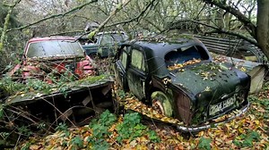 Explorers stumble across long-forgotten car graveyard abandoned in the woods
