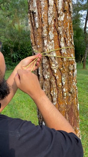 2.3K views · 11 reactions | The best way to hang your bag on a tree #bushcraft #outdoors #camping #survival | Vivian Solis | Facebook