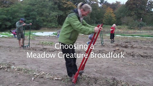Choosing a Meadow Creature Broadfork