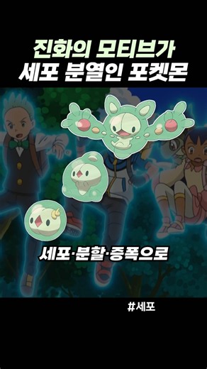 진화의 모티브가 세포 분열인 포켓몬