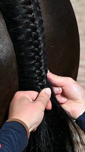 808K views · 14K reactions | Tail plaiting, made easy! ✨ The secret?...