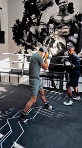 Boris vs capi | Mr salim