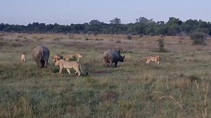 10K reactions · 694 shares | We had the most phenomenal encounter...