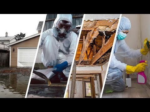 Miami Disaster Restoration Pro | Water Damage Restoration Service Miami | Call (786) 699-8180