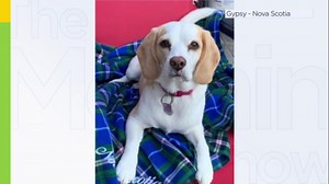 Furry Friday: TMS celebrates your furry friends!